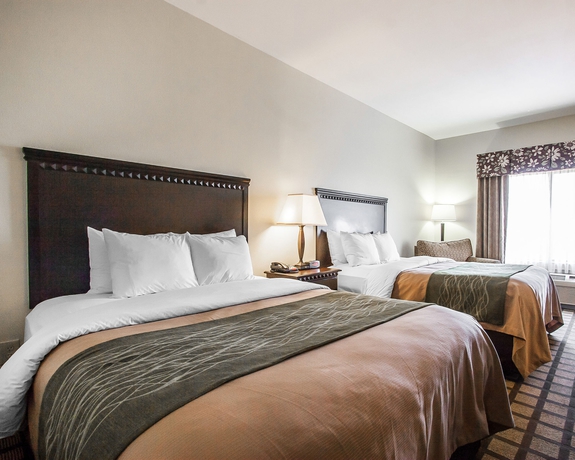 Imagen de la habitación del Hotel Comfort Inn and Suites Montgomery Eastchase. Foto 8
