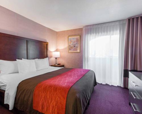 Imagen de la habitación del Hotel Comfort Inn and Suites Moreno Valley Near March Air Reserve Base. Foto 4