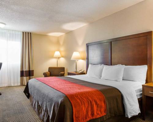 Imagen de la habitación del Hotel Comfort Inn and Suites Moreno Valley Near March Air Reserve Base. Foto 6