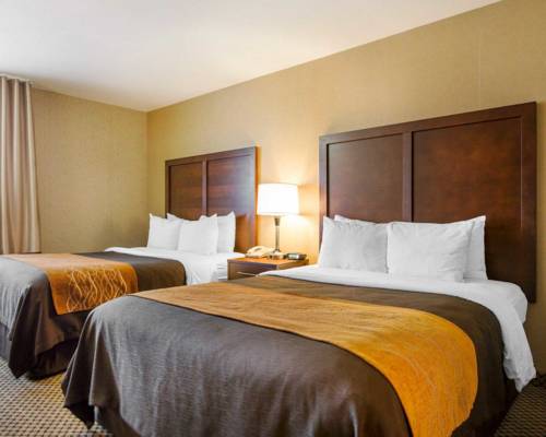 Imagen de la habitación del Hotel Comfort Inn and Suites Moreno Valley Near March Air Reserve Base. Foto 7