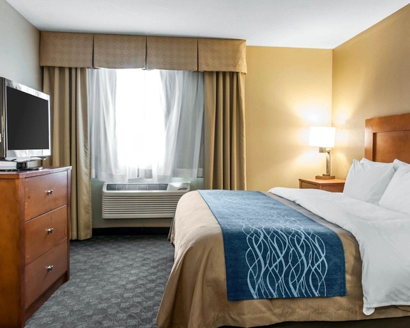 Imagen de la habitación del Hotel Comfort Inn and Suites, Napoleon. Foto 13