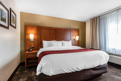 Imagen de la habitación del Hotel Comfort Inn and Suites Nashville Near Tanger Outlets I-24 Antioch. Foto 7