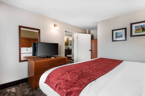 Imagen de la habitación del Hotel Comfort Inn and Suites Nashville Near Tanger Outlets I-24 Antioch. Foto 8
