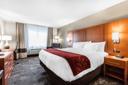 Imagen de la habitación del Hotel Comfort Inn and Suites Nashville Near Tanger Outlets I-24 Antioch. Foto 9