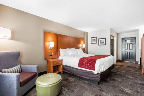 Imagen de la habitación del Hotel Comfort Inn and Suites Nashville Near Tanger Outlets I-24 Antioch. Foto 10