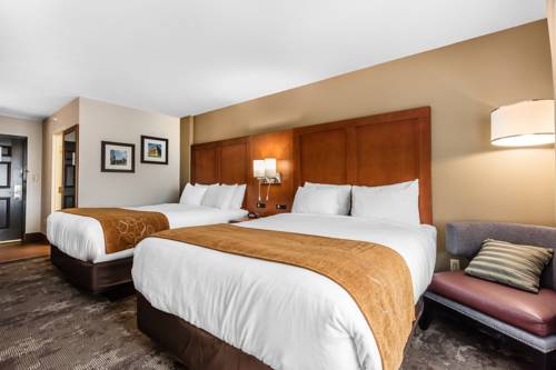 Imagen de la habitación del Hotel Comfort Inn and Suites Nashville Near Tanger Outlets I-24 Antioch. Foto 13