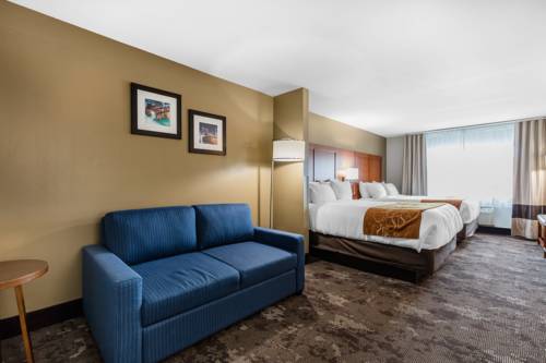 Imagen de la habitación del Hotel Comfort Inn and Suites Nashville Near Tanger Outlets I-24 Antioch. Foto 15