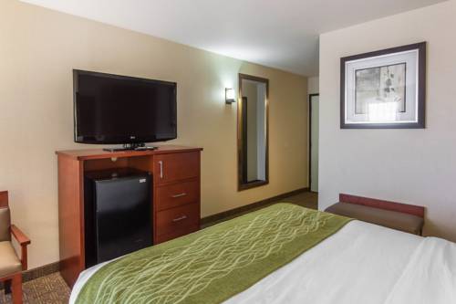 Imagen de la habitación del Hotel Comfort Inn and Suites Near Fallon Naval Air Station. Foto 4