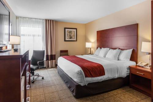 Imagen de la habitación del Hotel Comfort Inn and Suites Near Fallon Naval Air Station. Foto 7