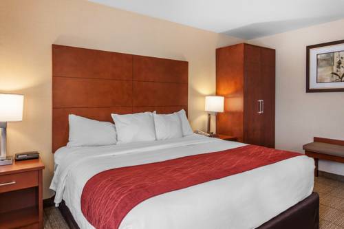 Imagen de la habitación del Hotel Comfort Inn and Suites Near Fallon Naval Air Station. Foto 9