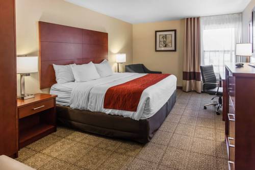 Imagen de la habitación del Hotel Comfort Inn and Suites Near Fallon Naval Air Station. Foto 11