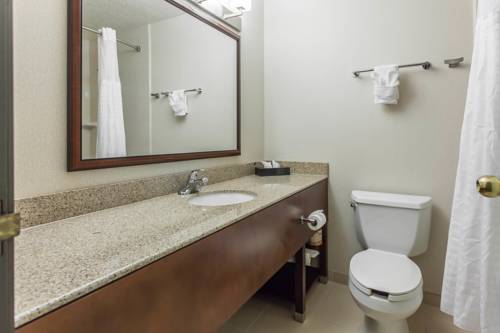 Imagen de la habitación del Hotel Comfort Inn and Suites Near Fallon Naval Air Station. Foto 13