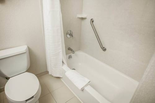 Imagen de la habitación del Hotel Comfort Inn and Suites Near Fallon Naval Air Station. Foto 14