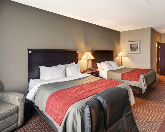 Imagen de la habitación del Hotel Comfort Inn and Suites Near Lake Lewisville. Foto 9