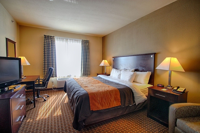 Imagen de la habitación del Hotel Comfort Inn and Suites Near Lake Lewisville. Foto 10