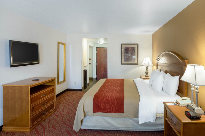 Imagen de la habitación del Hotel Comfort Inn and Suites Near Medical Center. Foto 4
