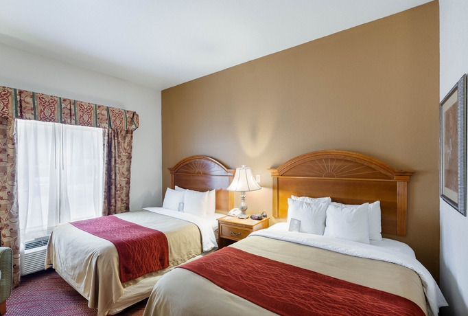Imagen de la habitación del Hotel Comfort Inn and Suites Near Medical Center. Foto 6