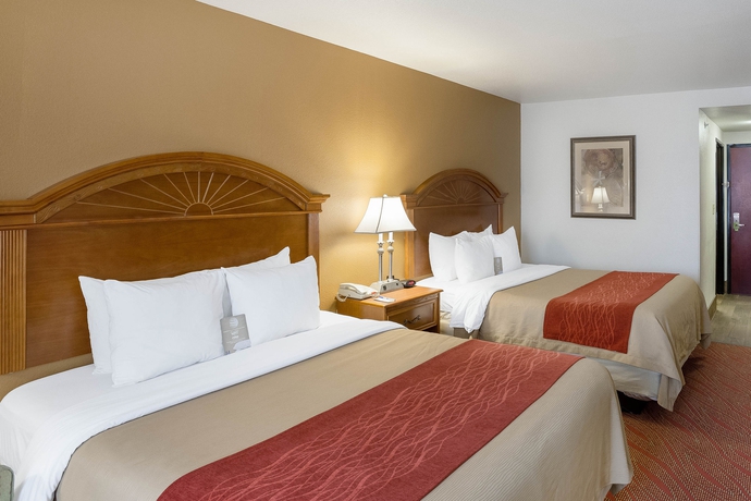Imagen de la habitación del Hotel Comfort Inn and Suites Near Medical Center. Foto 9