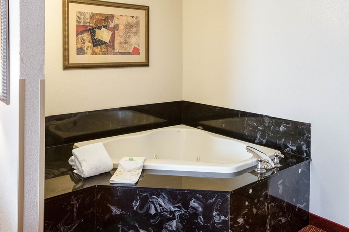 Imagen de la habitación del Hotel Comfort Inn and Suites Near Medical Center. Foto 13