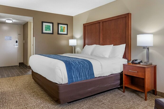 Imagen general del Hotel Comfort Inn and Suites Near North Fort Bragg. Foto 4