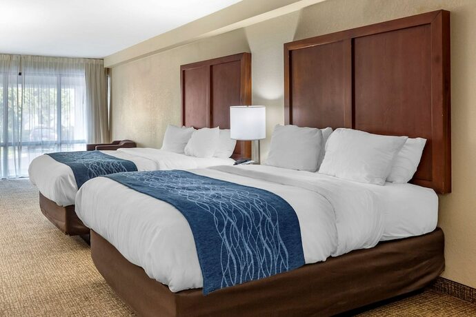 Imagen de la habitación del Hotel Comfort Inn and Suites Near North Fort Bragg. Foto 13