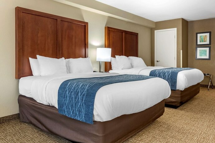 Imagen de la habitación del Hotel Comfort Inn and Suites Near North Fort Bragg. Foto 15
