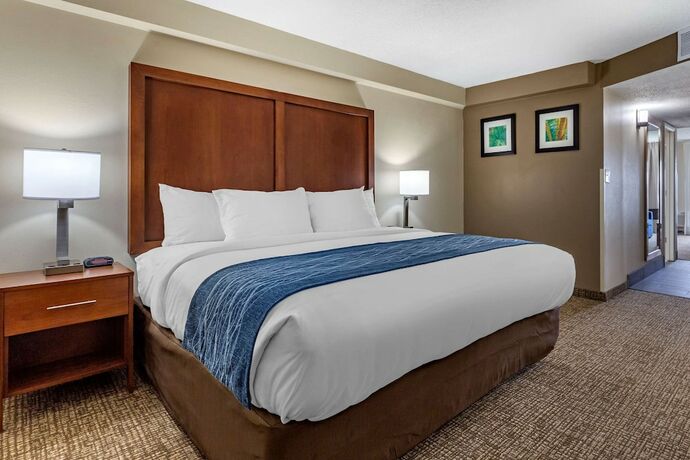 Imagen de la habitación del Hotel Comfort Inn and Suites Near North Fort Bragg. Foto 19
