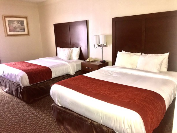 Imagen de la habitación del Hotel Comfort Inn and Suites Near Pocono Mountains. Foto 15
