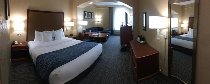 Imagen general del Hotel Comfort Inn and Suites Near Six Flags and Medical Center. Foto 11