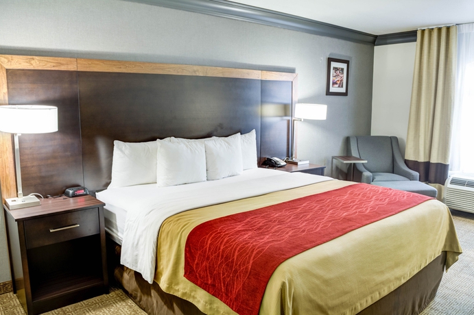 Imagen de la habitación del Hotel Comfort Inn and Suites Near Universal - N. Hollywood - Burbank. Foto 7