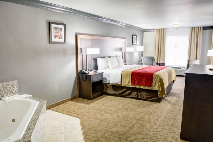 Imagen de la habitación del Hotel Comfort Inn and Suites Near Universal - N. Hollywood - Burbank. Foto 9