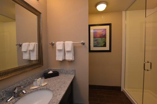 Imagen de la habitación del Hotel Comfort Inn and Suites Newcastle - Oklahoma City. Foto 6