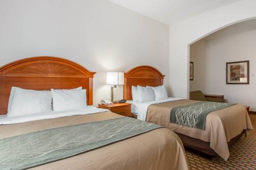 Imagen de la habitación del Hotel Comfort Inn and Suites Norman Near University. Foto 3