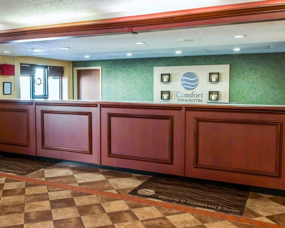 Imagen de los interiores del Hotel Comfort Inn and Suites North At The Pyramids. Foto 18