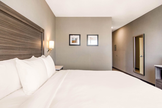 Imagen de la habitación del Hotel Comfort Inn and Suites, North Battleford. Foto 7