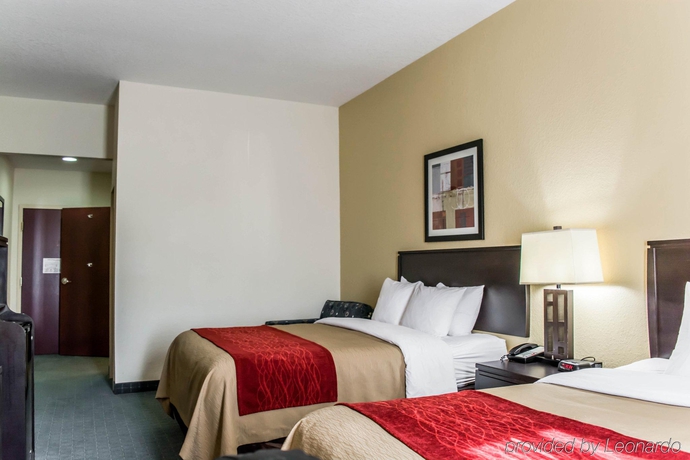 Imagen general del Hotel Comfort Inn and Suites Northeast - Gateway. Foto 1