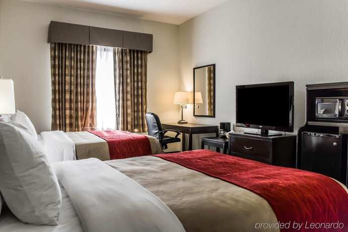 Imagen general del Hotel Comfort Inn and Suites Northeast - Gateway. Foto 5