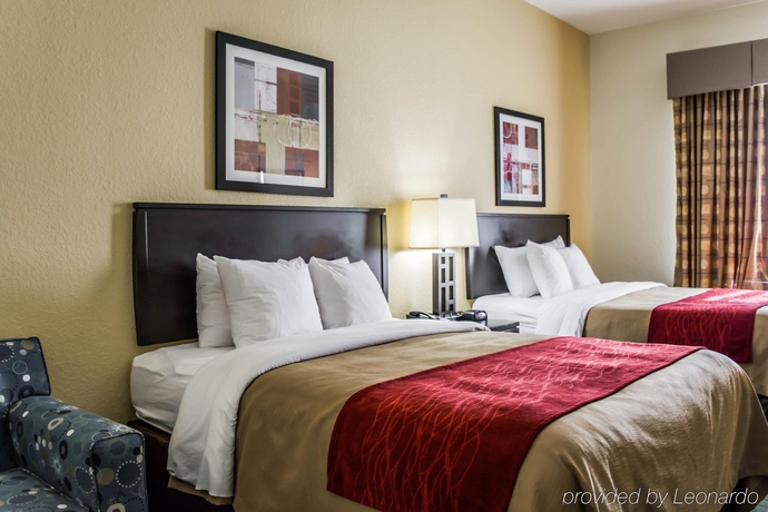 Imagen general del Hotel Comfort Inn and Suites Northeast - Gateway. Foto 7