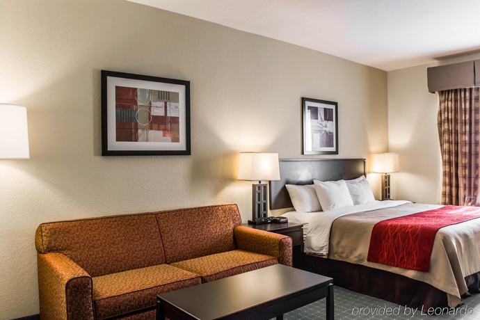 Imagen general del Hotel Comfort Inn and Suites Northeast - Gateway. Foto 8