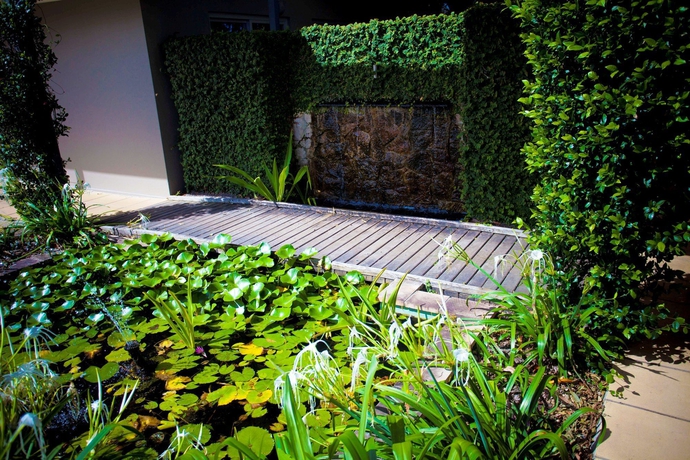 Imagen de los exteriores del Hotel Comfort Inn and Suites Northgate Airport. Foto 9