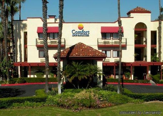 Imagen general del Hotel Comfort Inn and Suites Orange County John Wayne Airport. Foto 7
