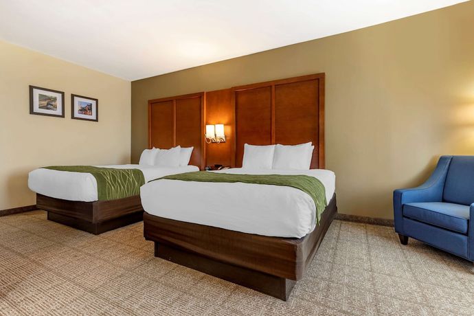 Imagen de la habitación del Hotel Comfort Inn and Suites, Orangeburg. Foto 3