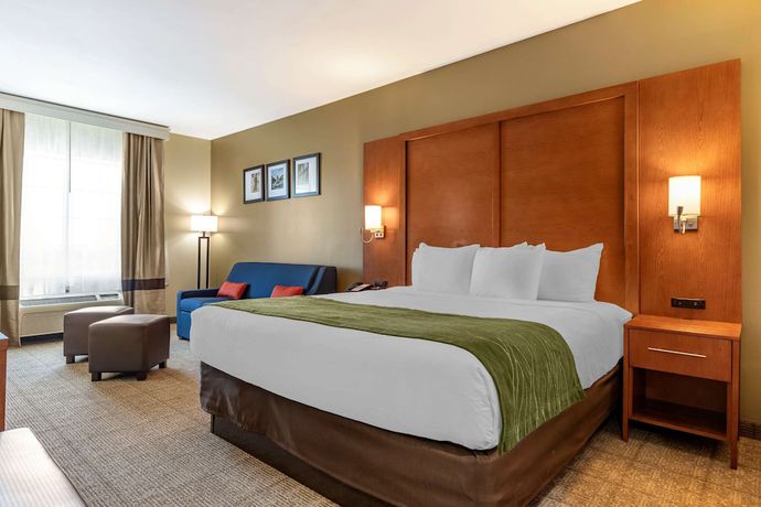 Imagen de la habitación del Hotel Comfort Inn and Suites, Orangeburg. Foto 7