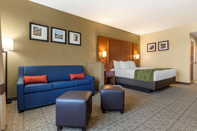 Imagen de la habitación del Hotel Comfort Inn and Suites, Orangeburg. Foto 10