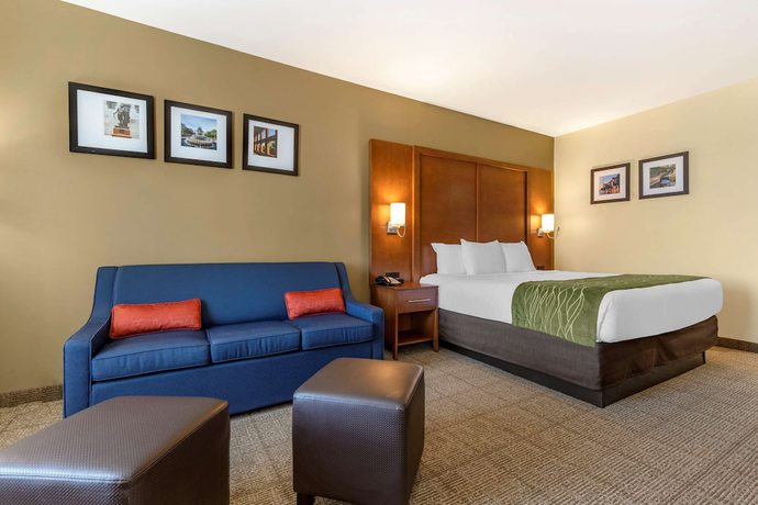 Imagen de la habitación del Hotel Comfort Inn and Suites, Orangeburg. Foto 14