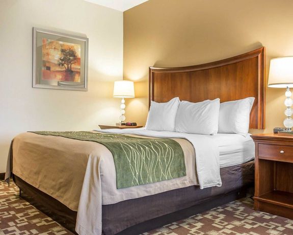 Imagen de la habitación del Hotel Comfort Inn and Suites, Orangeburg. Foto 16
