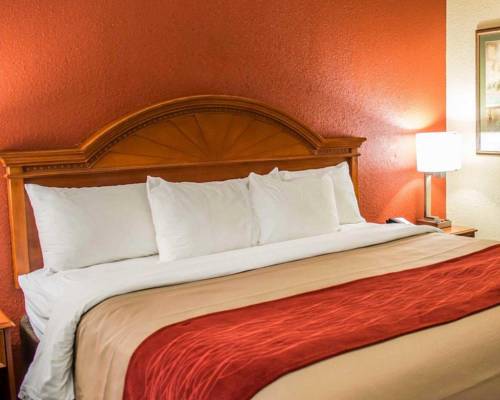 Imagen de la habitación del Hotel Comfort Inn and Suites, PANAMA CITY. Foto 4