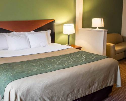 Imagen de la habitación del Hotel Comfort Inn and Suites Panama City Mall. Foto 5