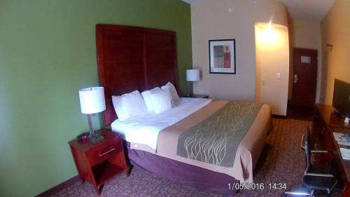 Imagen general del Hotel Comfort Inn and Suites Panama City Mall. Foto 1