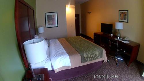Imagen de la habitación del Hotel Comfort Inn and Suites Panama City Mall. Foto 7